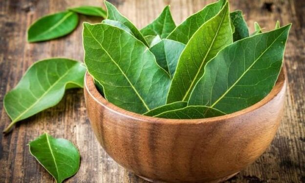 Bay leaves to prepare a decoction that relieves knee swelling with arthrosis